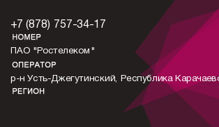 8787573417